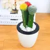 Plantas suculentas cactus plantas en maceta cactus oficina cactus en maceta plantas flor en maceta