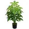 Planta Verde Simulada Árbol del Dinero Hoja de la Fortuna Árbol Falso Hoja de Cinta Adhesiva Planta en Maceta Sala de Estar Decoración del Hogar Pared de Plantas Transfronterizo