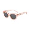 Moda Estilo Coreano Personalizado Montura Pequeña Montura Ojo de Gato Gafas de Sol de Alto Nivel para Mujer Gafas de Sol Transfronterizas Simples para Hombre Prevención de Marea