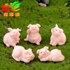 Porquinho Fofo Micro Paisagem Artesanato em Resina Pequenos Enfeites Acessórios de Chaveiro Boneca Porco do Zodíaco