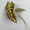 Planta de hoja de pavo real negra simulación flor arreglo hoja material decoración del hogar color hoja de taro hoja de loto Guanyin planta verde de boda