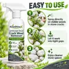 KineShineX Spray Herbicida para Grietas de Piedra de Paisaje 120ML, un herbicida para eliminar malas hierbas de los huecos entre las piedras del jardín
