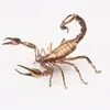 JinqiankunCobre Puro Escorpião Venenoso Animal de Estimação para Chá Porta-Canetas Coador de Chá Artesanato Artístico Suprimento Profissional Produção