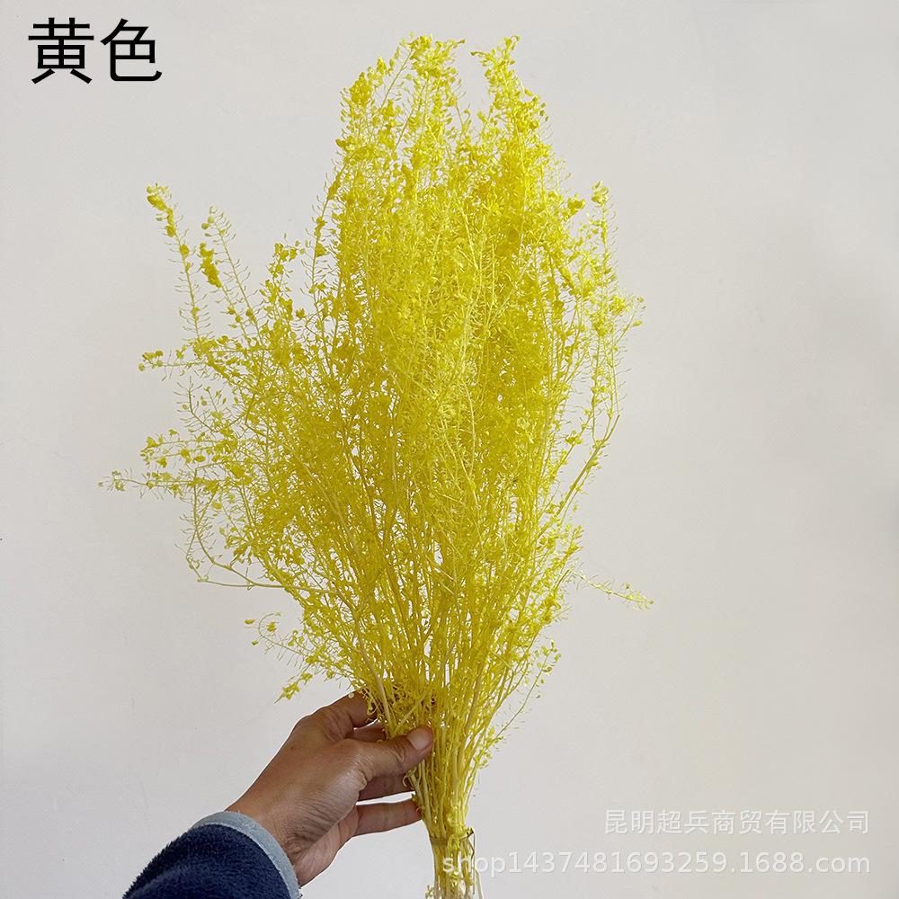 QQ图片20221213152641.jpg