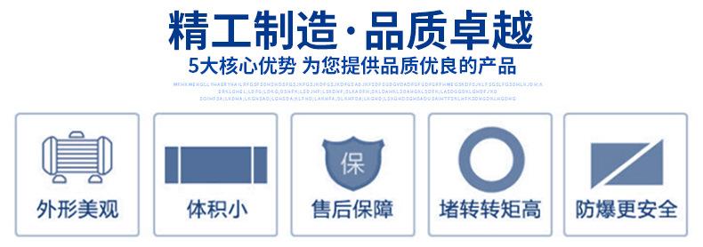 MINPEAR铝合金电机_02