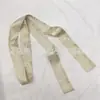 Faixa de cabelo Hanfu estilo chinês antigo faixa de cabelo estilo tinta lenço de seda estilo chinês tinta bambu fita amarrar bolsa cinto acessórios de vestuário