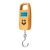 Balanza electrónica nueva balanza electrónica de calabaza mini balanza portátil balanza electrónica portátil balanza para ancianos 50 kg balanza para paquetería