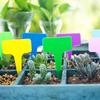 Etiqueta de flor para jardín etiqueta de planta etiqueta de inserción etiqueta carnosa color se puede combinar con elección de 100 piezas