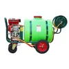 Pulverizador de Desinfecção Motorizado Pomar Jardim 160 Litros Pulverizador de Carrinho Gasolina Alta Pressão Pulverizador Remoto
