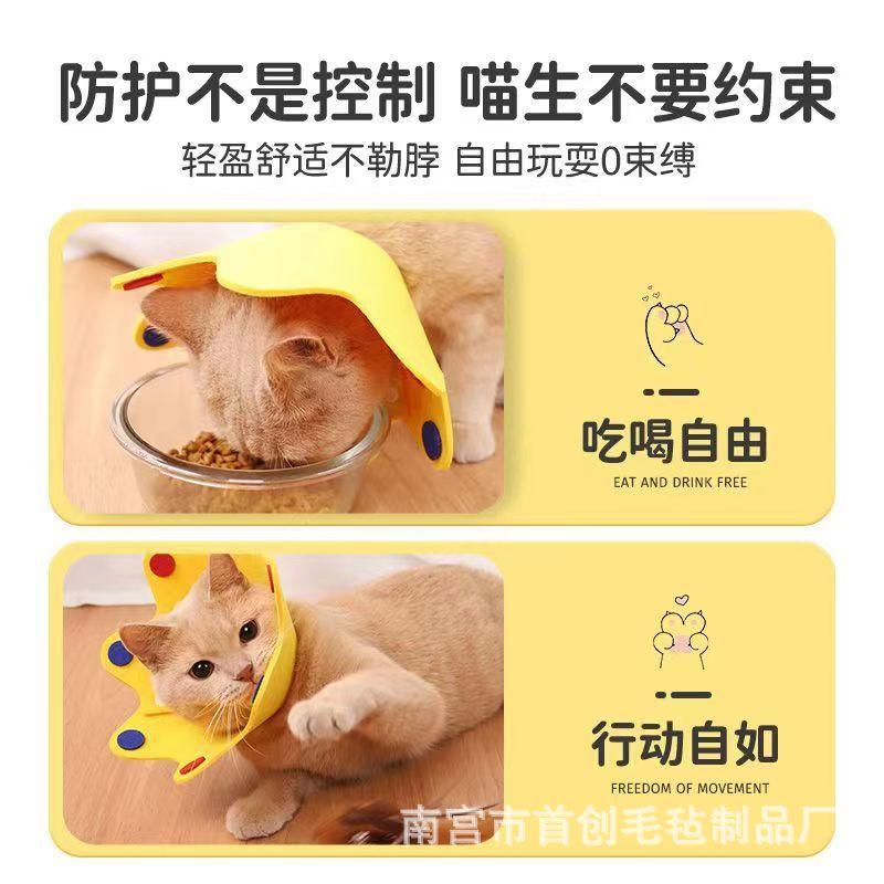 微信图片_20230725101802