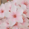 Galhos curtos de flor de pessegueiro artificial, flores de seda, buquês de flores artificiais, arranjos de cena, decorações florais, decorações de flor de ameixeira, flores falsas de flor de cerejeira