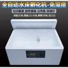 Incubadora de Huevos Cama de Agua Incubadora Pequeña de Huevos para Huevos de Codorniz Máquina Pequeña Caja de Incubación Automática para el Hogar Incubadora