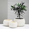 Vaso de Flores Simples Branco Estilo Europeu Grande Quadrado Texturizado Vaso Especial Hidropônico para Planta Verde Decoração de Interior Transfronteiriça