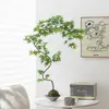 Bonsái de Arce de Agua Corriente con Forma Planta Verde Purificadora de Aire Adorno Decorativo Estilo Zen Chino para Sala de Estar Fácil de Cultivar para Principiantes Bonsái
