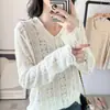 2025 Nueva Camisa de Encaje con Capucha de Otoño e Invierno Top con Capucha Prenda Base para Mujer Aspecto Suave Adelgazante Talla Grande Prenda Base