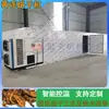 Secador de Coptis, Sala de Secado de Gránulos para Quemar Medicina Herbal China Chuanlian, Equipo Eléctrico Totalmente Automático para Hornear Rodajas de Raíz de Coptis