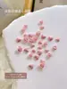 Accesorios para Uñas con Flores Mixtas de Rosa Nuevas Celebridad de Internet Dulces y Versátiles Accesorios Rosas para Uñas Estilo Girly