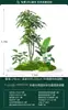 Plantas Verdes Simuladas Paisagismo Grande Interno Externo Biomórfico Paisagem Tropical Combinação de Plantas Loja de Alto Padrão Luxo Leve Decoração de Vitrine