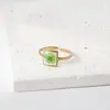 Anillo de Flor Real de Moda Transfronterizo Estilo Ins Personalizado para el Trabajo en Acero Inoxidable Chapado en Oro Joyería Anillo Incrustado con Pegamento de Flor Seca