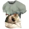 Camiseta Casual de Manga Corta con Estampado de Animales Divertido e Interesante, Impresión Digital 3D, Nueva para Hombre, Cuello Redondo