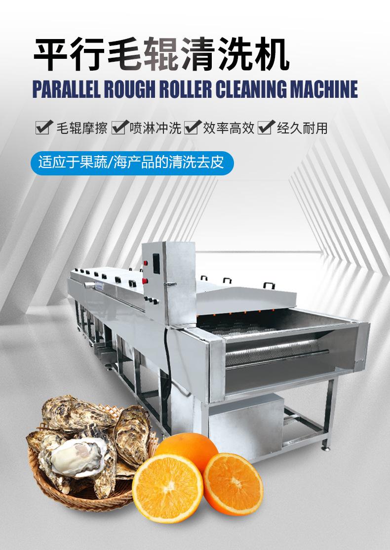 平行毛辊清洗机_01
