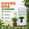 Solución nutritiva especial para Cícada, Fertilizante para bonsái de Cícada, Fertilizante especial para Cícada en maceta, Medicina especial para prevenir el amarillamiento y secado de las hojas