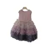 Conjunto de Vestido para Niña Otoño e Invierno Camiseta Base Forrada de Polar Falda de Malla en Capas Vestido Formal Estilo Coreano para Bebé Vestido de Princesa