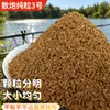 Isca Solta Pura Pellets Isca de Peixe Processada 3 Vezes, Isca Solta Triturada Grande Isca Original para Peixe de Tanque, Isca para Carpa Crucian e Carpa, Material Expandido Elástico Macio de Baixa Viscosidade