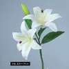 Flor Artificial de Alta Gama Tacto 2 Flores 1 Capullo Lirio Tianxiang Accesorios Fotográficos Venta al por Mayor Decoración del Hogar Arreglo Floral
