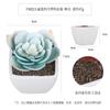 Loto de Escarcha Carnoso Simulado Cuadrado de Plástico Mini Maceta Mueble para el Hogar Decoración de Escritorio Bonsái Artificial Carnoso Simulado