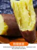 Batatas-doces Frescas de Castanha de Shaanxi 3/5/ 5kg Caixa Fechada de Batatas Brancas de Solo Arenoso de Linchong, Batatas-doces de Polpa Branca de Fazenda, Batatas-doces Pequenas