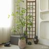 Planta Verde Grande de Simulación para Piso Pera Huanghua en Maceta Mueble para el Hogar Decoración de Interiores Árbol de Simulación Plantas de Viento Silencioso