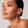 Estrella con el mismo modelo de placa del año serpiente aretes de año nuevo diseño femenino nicho plata esterlina pin rojo aretes vintage modernos