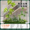 Gran simulación de diseño combinado de paisaje verde interior plantas verdes falsas biónicas avanzadas debajo de las escaleras adornos de árboles decorativos