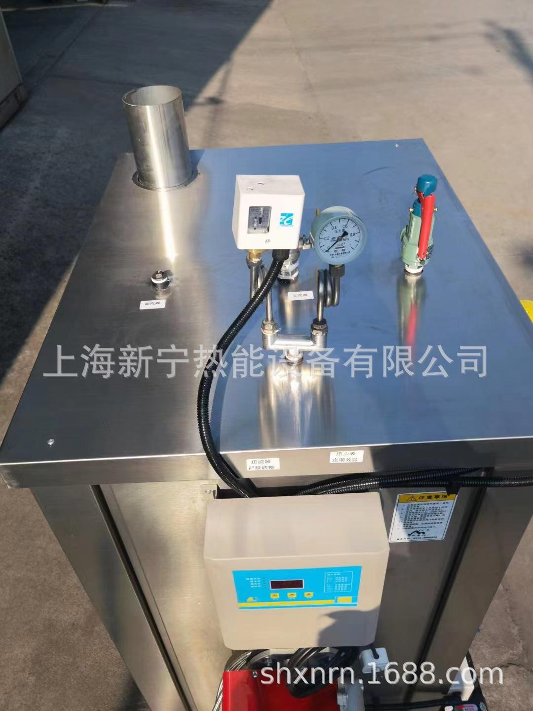 新宁燃油燃气蒸汽发生器 (6).jpg