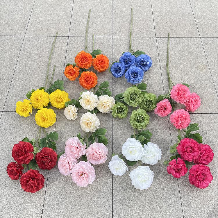 主图 林溪郡.JPG