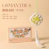 Enfeites de Gesso Dourados com Aroma de Osmanthus Estilo Chinês para Desodorização e Fragrância Duradouras em Guarda-roupas, como Lembrancinhas e Decorações de Carro