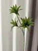 Bosque Escandinavo Verde Planta Verde Hoja Verde Techo de Salón de Bodas Mimosa Plástico Flor Falsa Hierba de Amante Eucalipto