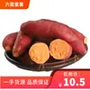 Fujian Zhangzhou Liu'Ao Batata Doce Mel Batata Doce Arenosa Batata Doce Mel Frescamente Colhida do Local de Origem Dropshipping