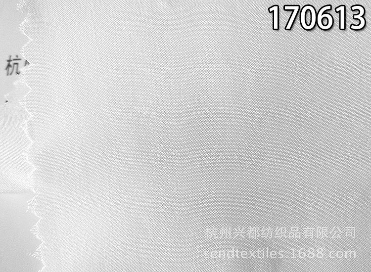 170613人丝电力纺4