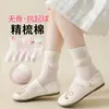 Calcetines para Niños para Otoño e Invierno, Calcetines de Algodón para Niños Mayores, Calcetines con Diseño de Dinosaurio Resistentes al Olor para Niños para Primavera y Otoño, Calcetines de Caña Media Modernos