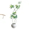 Planta Grande de Madera Pata de Pato en Maceta para Interior para Purificación del Aire, Adecuada para Dormitorio y Sala de Estar, Perenne Todo el Año, Planta Verde de Moda