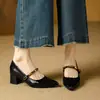Sapatos Mary Jane Retro de Salto Alto para Mulheres com Salto Bloco, Novo Estilo Primavera 2026, Bico Fino, Corte Baixo, Muito Atraentes, Sapatos Confortáveis para Mulheres Que Não Cansam os Pés