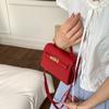 Bolso de Mano Nicho de Aspecto Elevado para Mujer 2025 Verano Nuevo Trendy y Elegante Trabajo Hombro Cruzado Bolso Kelly