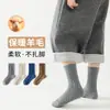 Calcetines Infantiles Transfronterizos Calcetines de Lana Engrosados Niños Niñas Color Sólido Básicos Versátiles Cálidos de Media Caña Calcetines Infantiles