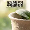 Maceta larga de cerámica de imitación maceta pequeña para escritorio suculentas, plantas de jade, flores, cactus, maceta de plástico engrosado para prevenir la pudrición de raíces