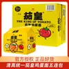 Halal Rei Tomate Macarrão de Tomate e Ovo de Xinjiang Macarrão Instantâneo Ramen Fast Food Lanche da Madrugada Caixa Fechada Embalado no Saco Atacado