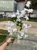2024 Flor de Orquídea Morada para Boda Fábrica de Flores Comercio Exterior Danza de la Grulla Papulan Boda Suave Hogar Flor Artificial Venta al por Mayor