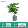 Planta Verde Artificial com 5 Galhos e 30 Folhas, Acessórios de Plantas para Decoração de Paisagismo Interno, Enfeites de Plantas em Vasos, Flores Artificiais para Atacado