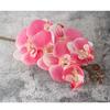 Flor Artificial Phalaenopsis Pequena 7-Cabeças Decoração de Flor Falsa para Mesa de Jantar Arranjo de Flores para Hotel Phalaenopsis Atacado Exportação Venda Quente